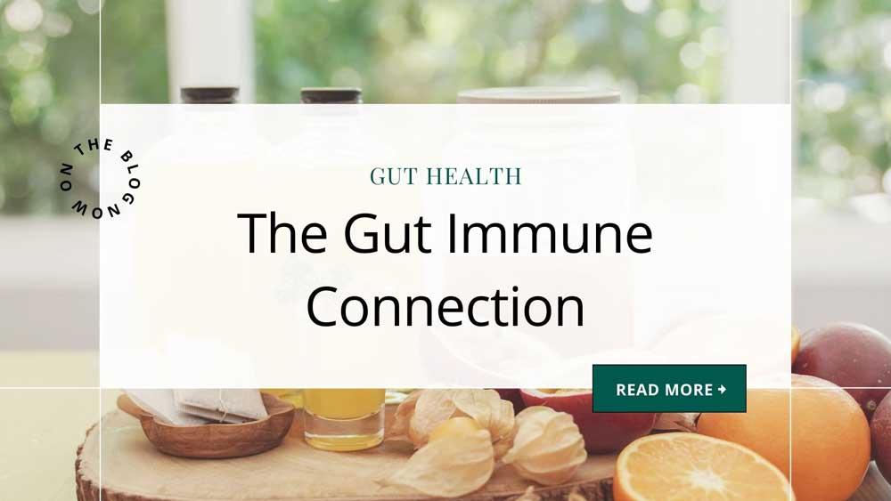 The Gut-Immune Connection: How Secretory IgA Plays a Vital Role